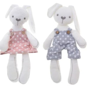 Cute Bunny