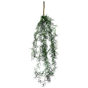 Air Plant Cascade