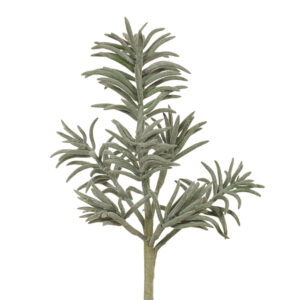Succlent Spike Grey 27cm