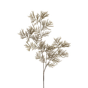 Cedar Weeping Spray