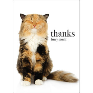 Thanks Furry Much Card