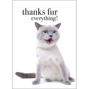 Thanks Fur Everything Card