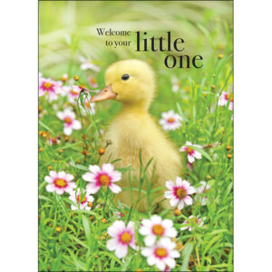 Welcome To Your Little One Card