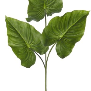 Calla Lily Leaf Stem