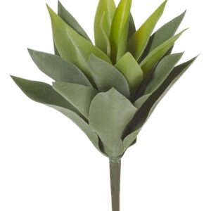 African Agave 28cm Green