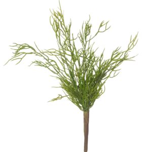 Mini Rhipsalis 20x25x40cm Green