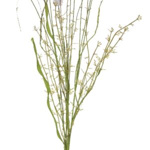 Mulla Mulla Bundle 63cm Purple