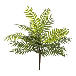 Palm Fern