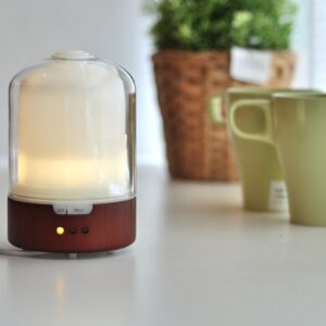 Glass Dome Aromatherapy Diffuser With Bonus Oils