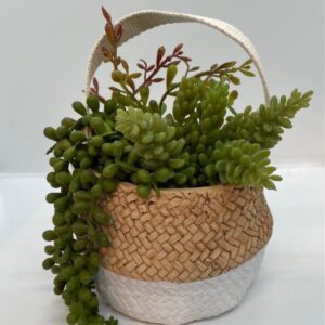 Artificial Succulents