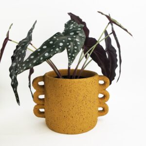 Dayze Planter Mustard Mediium