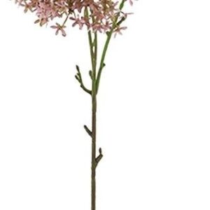 Star Flower Stem Dusty Pink 76cm