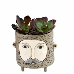 Baby Hairy Jack Planter (brown)
