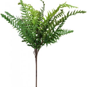Artificial Fern Stem