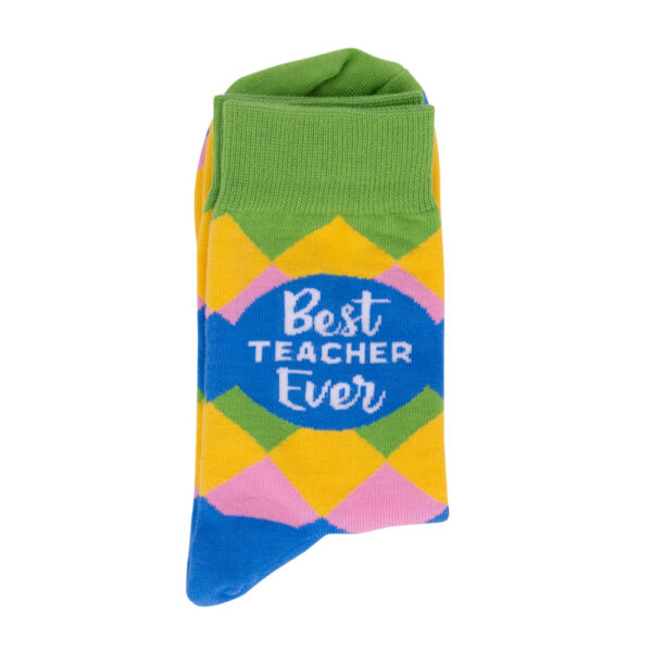 Teacher Best Teacher Socks